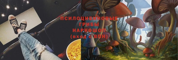 трава Володарск