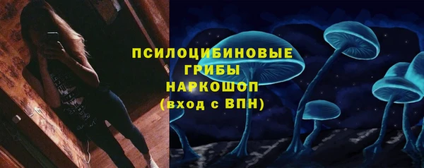 apvp Вязьма