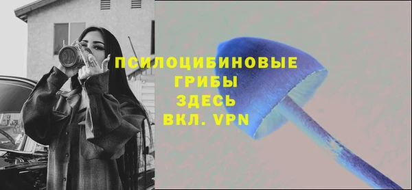spice Сосновка