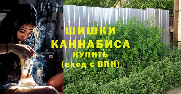 apvp Вязьма